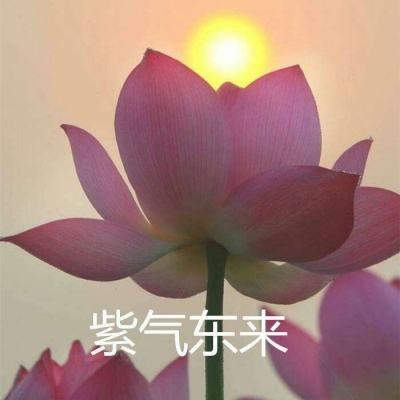 蛮将三国果盘版下载